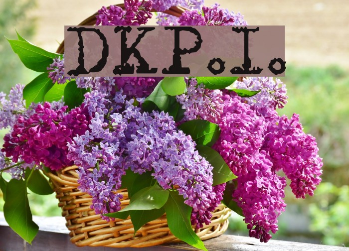 DKP.I. Font examples
