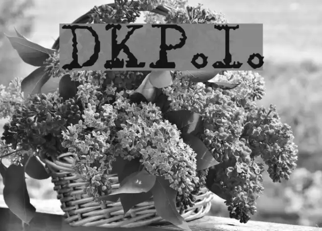DKP.I. Example 3