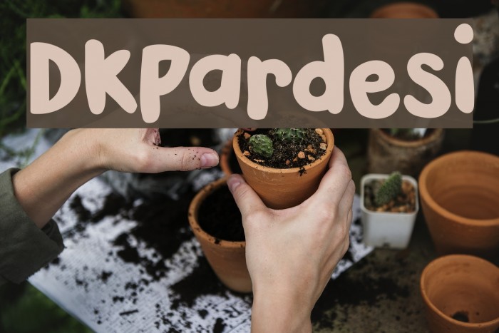 DKPardesi Font examples