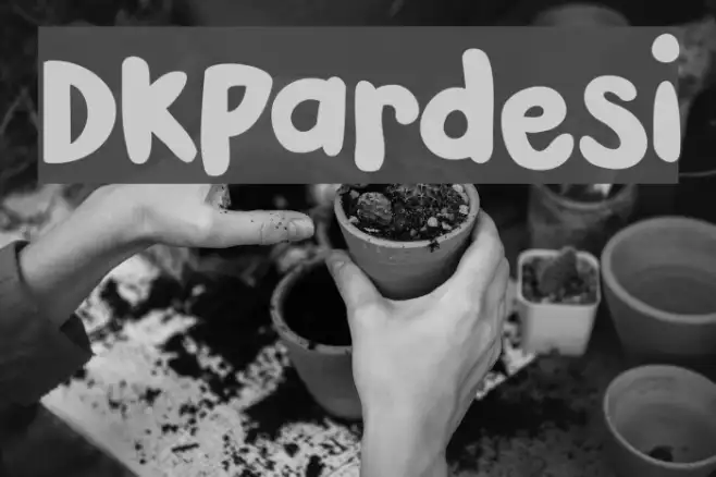 DKPardesi Example 2