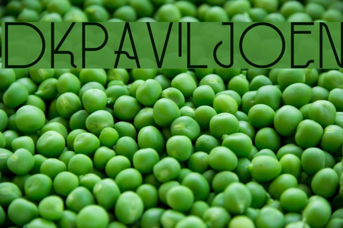 DKPaviljoen Example 3