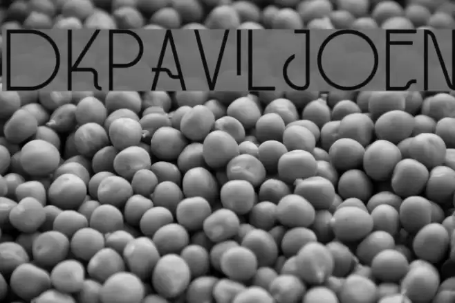 DKPaviljoen Font examples