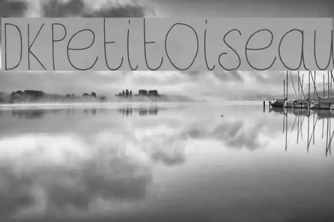 DKPetitOiseau Example 1