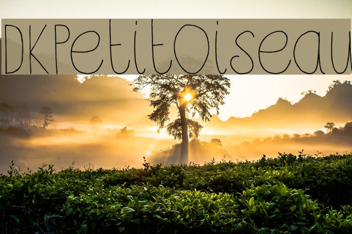 DKPetitOiseau Font examples