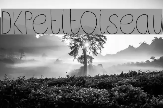 DKPetitOiseau Example 2