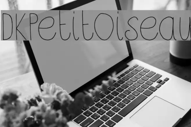 DKPetitOiseau Example 3