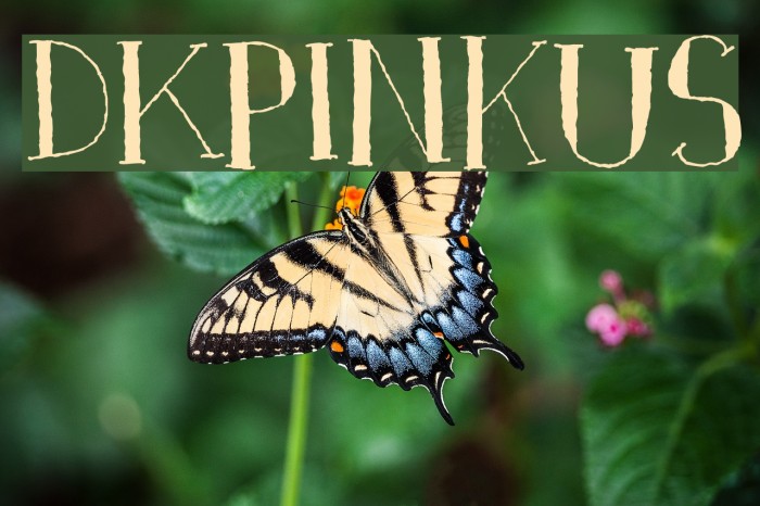 DKPinkus Font examples