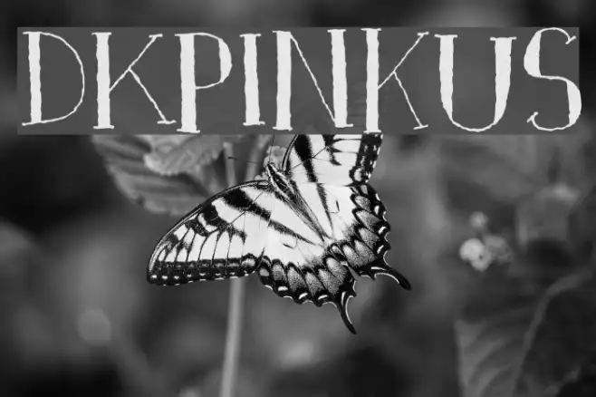 DKPinkus Example 1