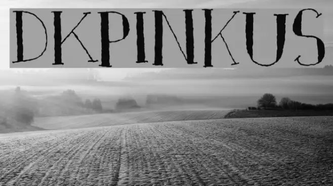 DKPinkus Example 2
