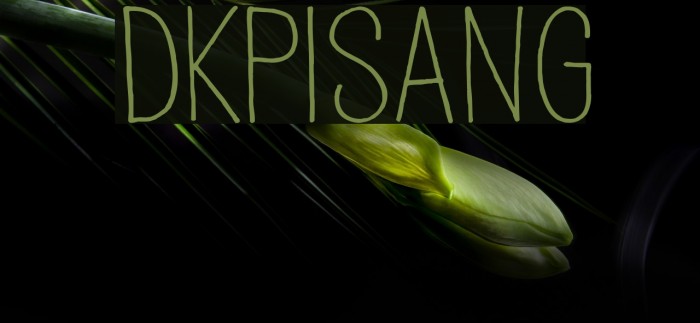 DKPisang Font examples