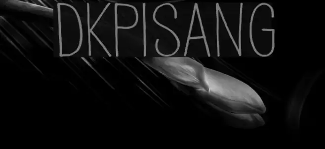DKPisang Example 3
