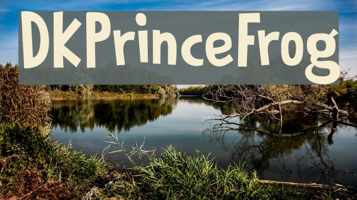 DKPrinceFrog Font examples