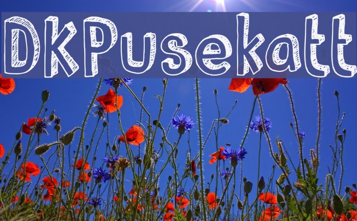 DKPusekatt Font examples