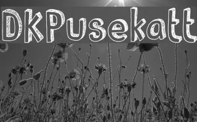 DKPusekatt Example 1