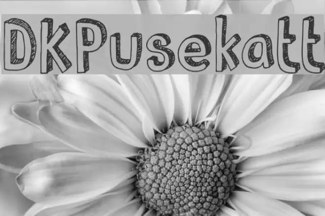 DKPusekatt Example 2