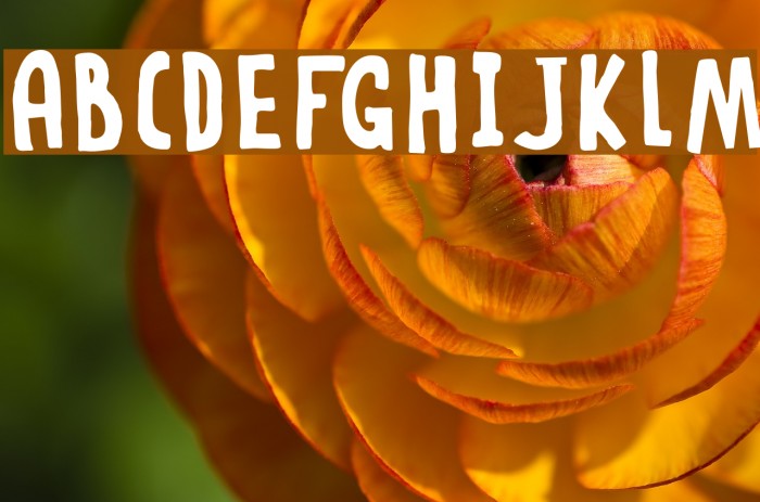 DKRabbitOnTheMoon Font examples