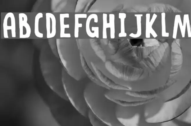 DKRabbitOnTheMoon Example 3