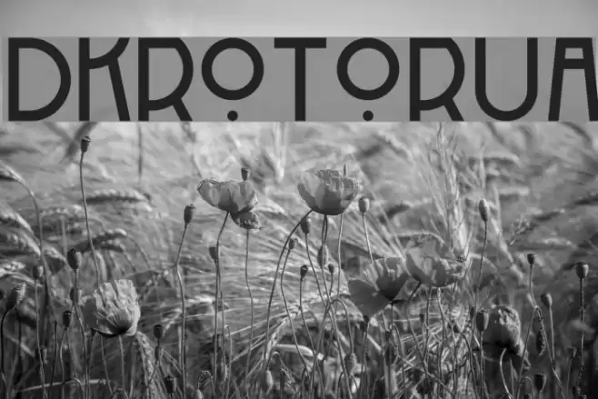 DKRotorua Font examples