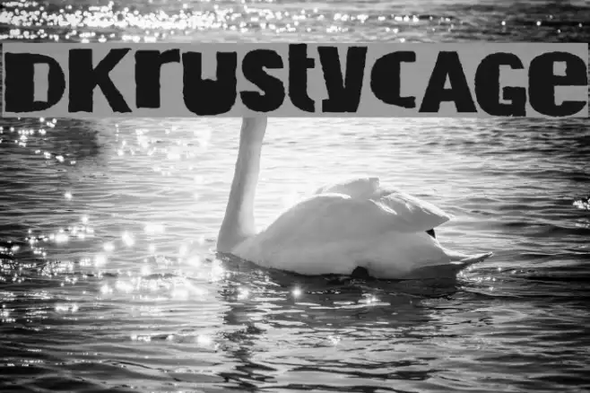 DKRustyCage Example 1