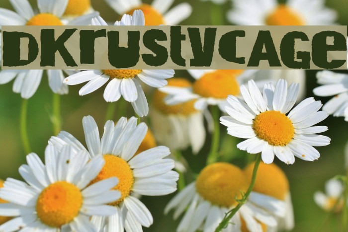 DKRustyCage Font examples