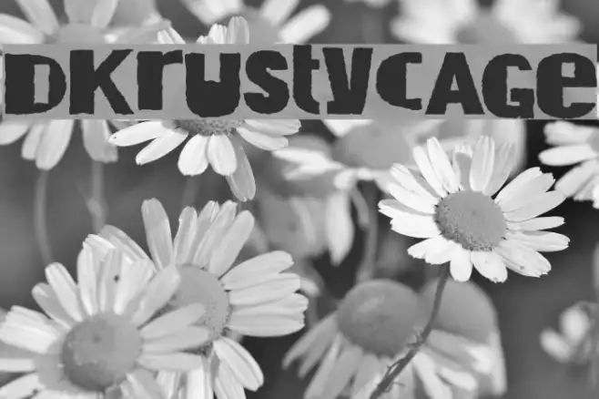 DKRustyCage Example 2