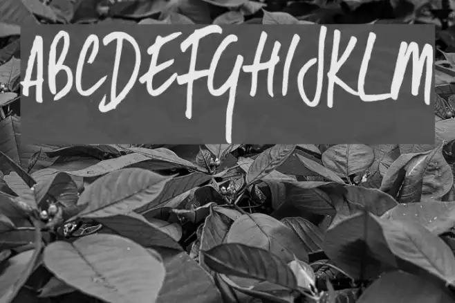 DKSameSameButDifferent Example 1