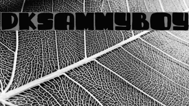 DKSammyBoy Font examples