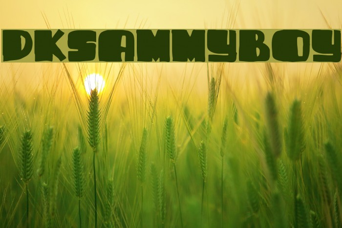 DKSammyBoy Font examples