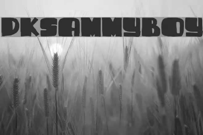 DKSammyBoy Font examples