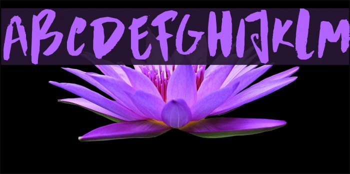 DKScrawnyCat Font examples