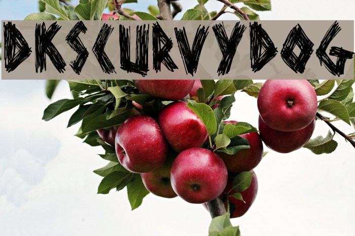 DKScurvyDog Example 2