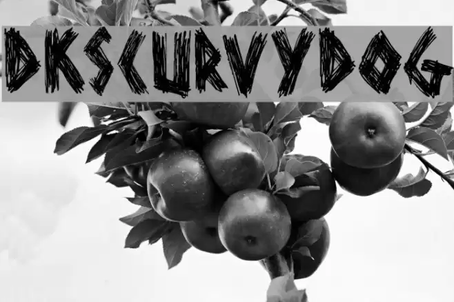 DKScurvyDog Font examples
