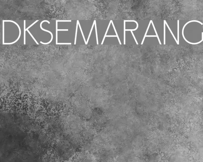 DKSemarang Example 2