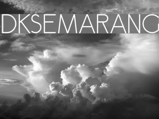 DKSemarang Example 3
