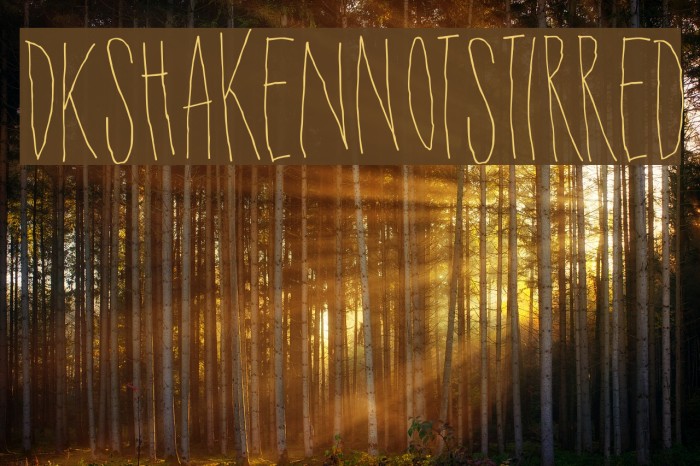 DKShakenNotStirred Font examples