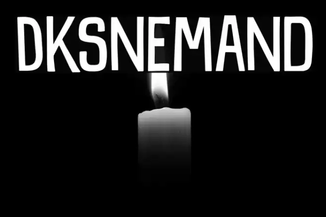 DKSnemand Example 1