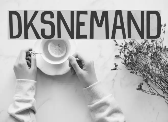 DKSnemand Example 2