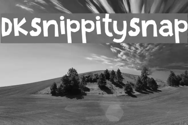 DKSnippitySnap Example 1