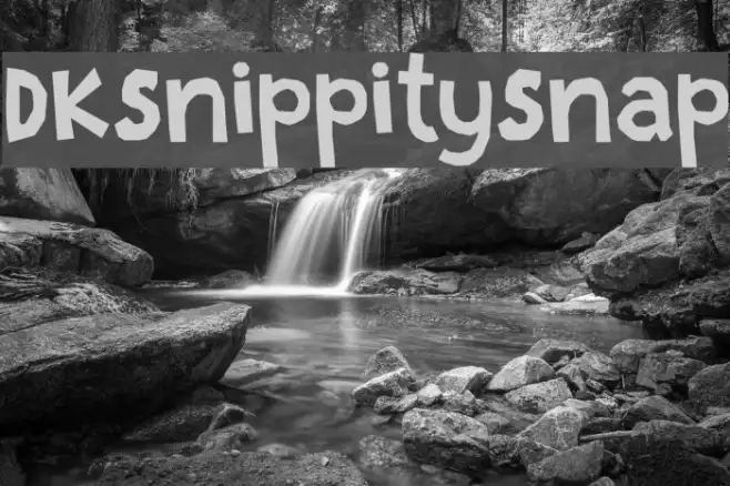 DKSnippitySnap Example 2