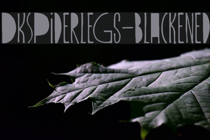 DKSpiderlegs-Blackened Font examples