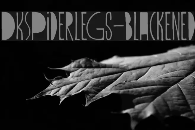 DKSpiderlegs-Blackened Example 1