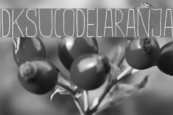 DKSucoDeLaranja Font examples