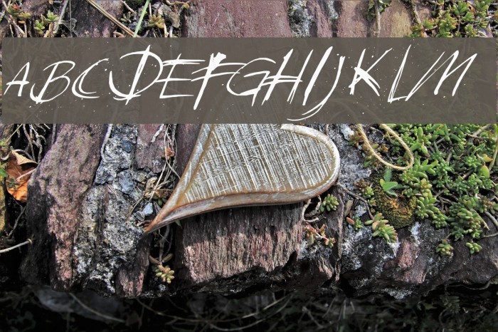 DKSundayMonday Font examples