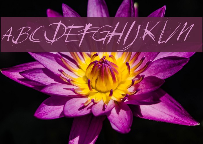 DKSundayMonday Font examples