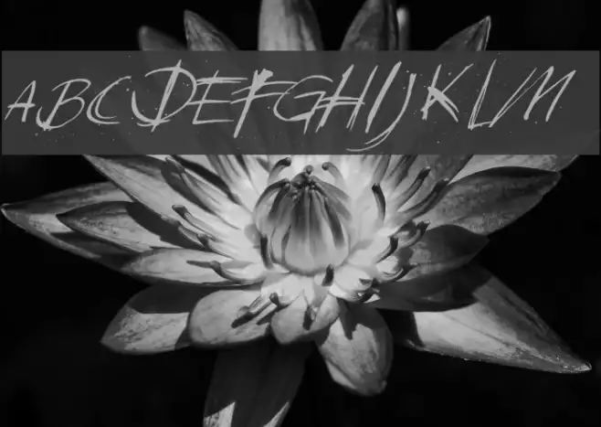 DKSundayMonday Example 3