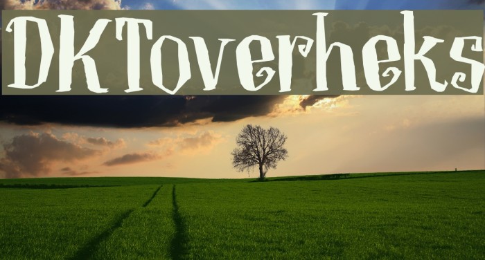 DKToverheks Example 3