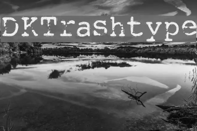 DKTrashtype Example 1