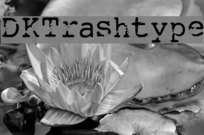 DKTrashtype Example 2