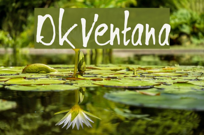 DKVentana Font examples