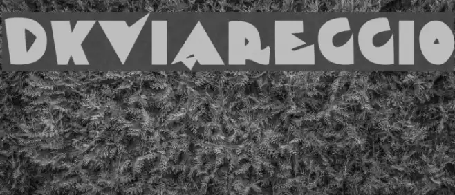 DKViareggio Example 1